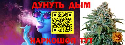 apvp Кингисепп