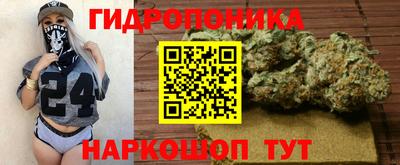 крисы Кимры