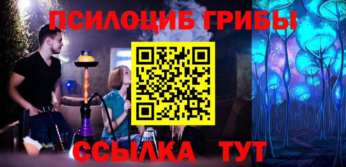 Псилоцибиновые грибы прущие грибы  где найти   Костомукша  Вход с VPN 
